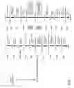 Fig. 02 - Systems and methods for enhancing gene expression
