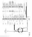 Fig. 07 - Systems and methods for enhancing gene expression