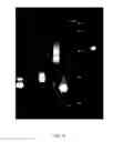 Fig. 11 - INDUCTION OF FLOCCULATION IN PHOTOSYNTHETIC ORGANISMS