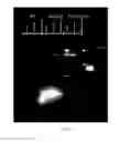 Fig. 13 - INDUCTION OF FLOCCULATION IN PHOTOSYNTHETIC ORGANISMS