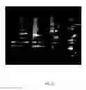 Fig. 14 - INDUCTION OF FLOCCULATION IN PHOTOSYNTHETIC ORGANISMS