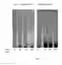 Fig. 16 - INDUCTION OF FLOCCULATION IN PHOTOSYNTHETIC ORGANISMS
