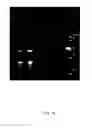 Fig. 17 - INDUCTION OF FLOCCULATION IN PHOTOSYNTHETIC ORGANISMS