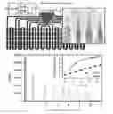 Fig. 01 - MICROFLUIDIC DEVICES FOR RELIABLE ON-CHIP INCUBATION OF DROPLETS IN DELAY LINES