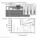 Fig. 07 - MICROFLUIDIC DEVICES FOR RELIABLE ON-CHIP INCUBATION OF DROPLETS IN DELAY LINES