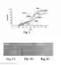 Fig. 02 - Scalable primate pluripotent stem cell aggregate suspension culture and differentiation thereof