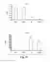 Fig. 22 - Scalable primate pluripotent stem cell aggregate suspension culture and differentiation thereof