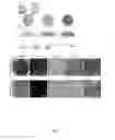 Fig. 02 - Encapsulation and cardiac differentiation of hiPSCs in 3D PEG-fibrinogen hydrogels