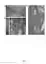 Fig. 07 - Encapsulation and cardiac differentiation of hiPSCs in 3D PEG-fibrinogen hydrogels