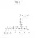 Fig. 07 - Method and apparatus for analyzing acetone in breath