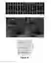 Fig. 24 - Printed assemblies of ultrathin, microscale inorganic light emitting diodes for deformable and semitransparent displays