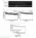 Fig. 28 - Printed assemblies of ultrathin, microscale inorganic light emitting diodes for deformable and semitransparent displays