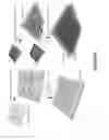 Fig. 59 - Printed assemblies of ultrathin, microscale inorganic light emitting diodes for deformable and semitransparent displays
