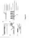 Fig. 80 - Printed assemblies of ultrathin, microscale inorganic light emitting diodes for deformable and semitransparent displays