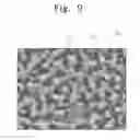 Fig. 06 - METHOD FOR FABRICATING ORGANIC ELECTROLUMINESCENT DEVICES