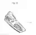 Fig. 11 - Collapsible scuba fin with cam lock feature and adjustable blades