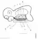 Fig. 45 - PERIPHERAL APPARATUS FOR STORING AND POSITIONING A PORTABLE ELECTRONIC DEVICE