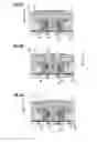Fig. 07 - Substrate holder, polishing apparatus, polishing method, and retaining ring