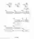 Fig. 50 - Methods and systems for dynamic spectrum arbitrage using best-available spectrum assignment