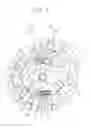 Fig. 07 - TORSIONAL VIBRATION DAMPING DEVICE