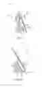 Fig. 03 - Golf club