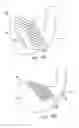 Fig. 21 - Golf club