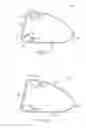 Fig. 13 - Golf club head with flexure