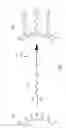 Fig. 03 - Chromatographic materials