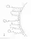 Fig. 05 - Chromatographic materials