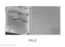 Fig. 07 - Development of latent friction ridge prints