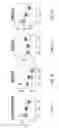 Fig. 07 - COMPOSITIONS AND METHODS FOR DETECTING COMPLICATED SARCOIDOSIS