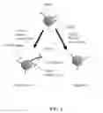 Fig. 02 - Hydrolysis probes