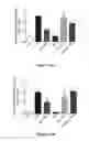 Fig. 02 - Method and composition for treating diabetes mellitus