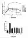 Fig. 06 - Method and composition for treating diabetes mellitus