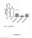 Fig. 02 - Glutathione-elevating compositions and uses thereof