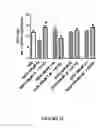 Fig. 07 - Glutathione-elevating compositions and uses thereof
