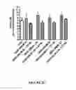Fig. 08 - Glutathione-elevating compositions and uses thereof
