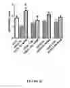 Fig. 09 - Glutathione-elevating compositions and uses thereof