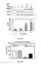 Fig. 08 - Methods of treatment of cancer using SRC-modulating peptides