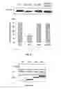Fig. 35 - Methods of treatment of cancer using SRC-modulating peptides