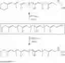 Fig. 65 - GGA DERIVATIVES