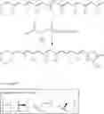Fig. 85 - GGA DERIVATIVES