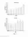 Fig. 02 - Compositions and Methods for Reactivating Latent Immunodeficiency Virus