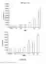 Fig. 05 - Compositions and Methods for Reactivating Latent Immunodeficiency Virus