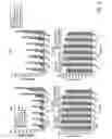 Fig. 06 - Compositions and Methods for Reactivating Latent Immunodeficiency Virus