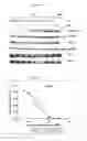 Fig. 09 - Heterocyclic compounds and uses thereof