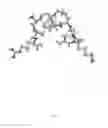 Fig. 06 - Orally active, cell-penetrating homing peptide and methods of using same