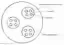 Fig. 01 - Injectable particle