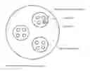 Fig. 02 - Injectable particle