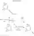 Fig. 43 - Methanethione compounds having antiviral activity